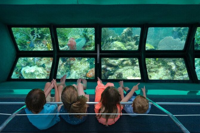 Glass-bottom boat tour to Punta Cana - Key Things to Know Before You Go