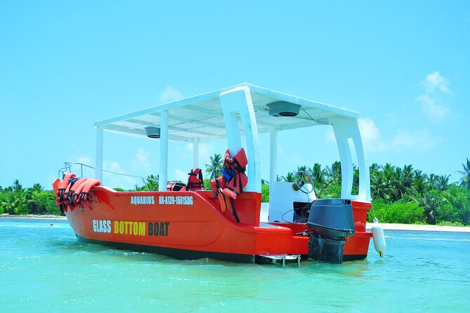 Glass-bottom boat tour to Punta Cana - The 3 Stops: Cabeza De Toro, the Dolphin Moment, and the Caribbean Natural Pool