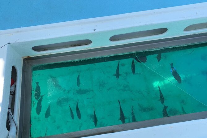 GlassBottom Catamaran with Slide - Photos and souvenirs, what you pay for, and how to get your best shots