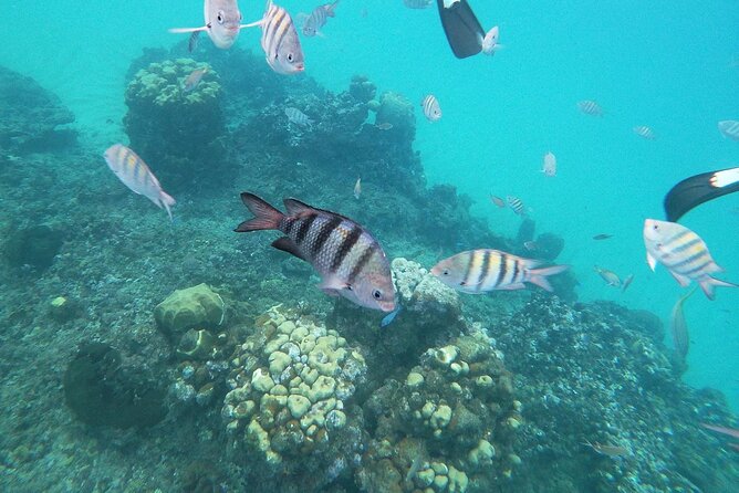 Golden beach - transportation Amber Cove and Taino bay - Who this tour is best for, and who should skip it