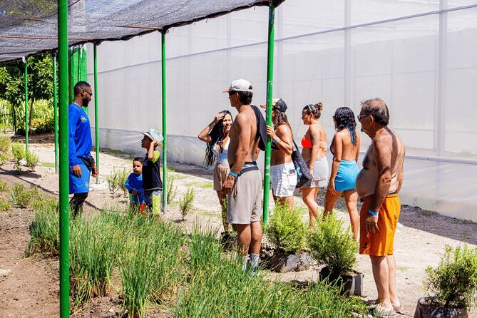 Golf Cart Eco Tour Half Day Tour - Los Ojos ecological reserve: 1,500 acres and the Inrinri lagoon swim