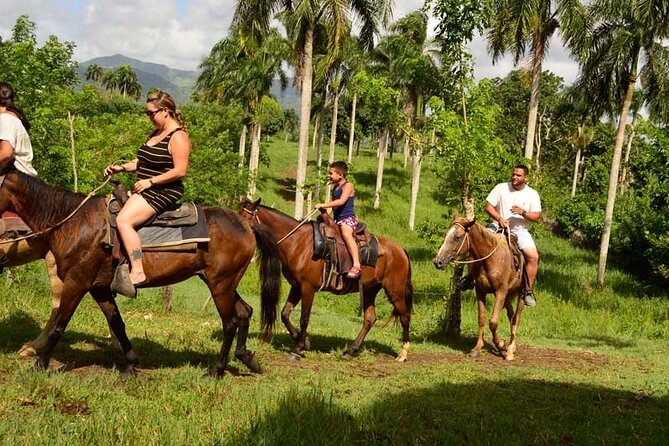Guided Horseback Ride On The Beach With Pickup From Punta Cana - Key Points Before You Go