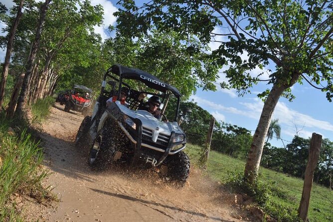 Guided Tour in Polaris (4X4) by Macao Beach, Taino Cave and Typical House - Typical house tastings, coffee, cocoa, tobacco, and Mama Juana