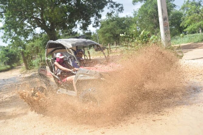 Guided Tour in Polaris (4X4) by Macao Beach, Taino Cave and Typical House - Price and value: is $95 per person a fair deal?