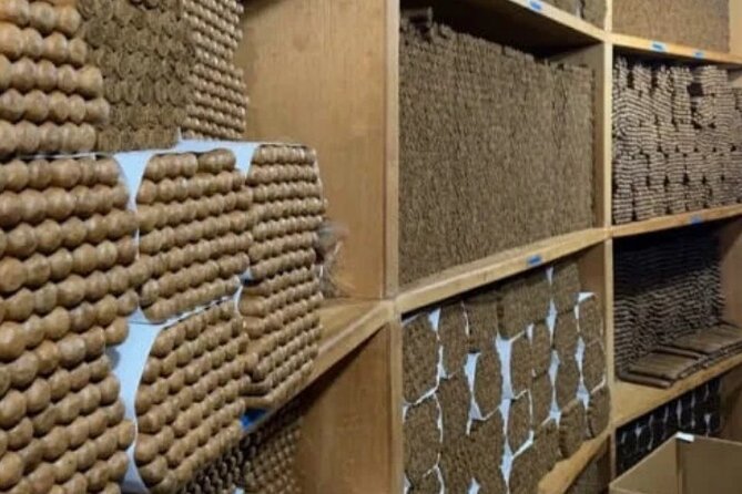 Guided Tour to Don Lucas Cigars Factory and Souvenirs Store - Dealing with mixed reviews: set expectations for a short visit