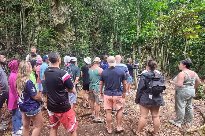 Haitises National Park with Paraiso Caño Hondo & Montaña Redonda - Riverboat Through the Park: Mangroves, Channels, and Cave Country