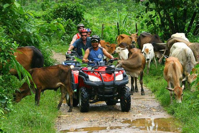Half-Day Adventure 4x4 ATV, Water Cave and Dominican Culture - Why this ATV plus cave plus beach combo fits Punta Cana