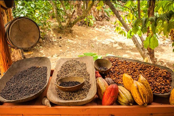 Half-Day Adventure 4x4 ATV, Water Cave and Dominican Culture - Who should book this, and who should skip it
