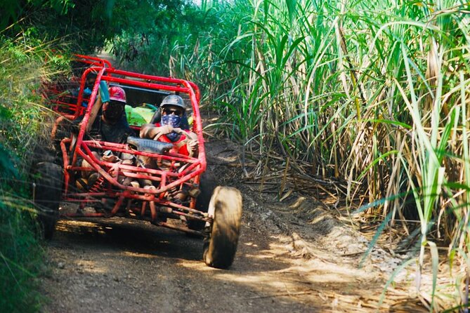 Half-Day ATV or Buggy 4X4 from Bayahibe - La Romana - Bayahibe ATV or Buggy 4x4 from La Romana, what this trip is really like