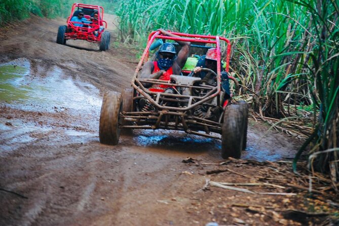 Half-Day ATV or Buggy 4X4 from Bayahibe - La Romana - Rio Chavon: the river stop for cool-downs, swimming, and photos