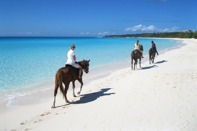 Half-Day Beach Horse Back Riding in Puerto Plata - Why this half-day horseback ride feels worth it