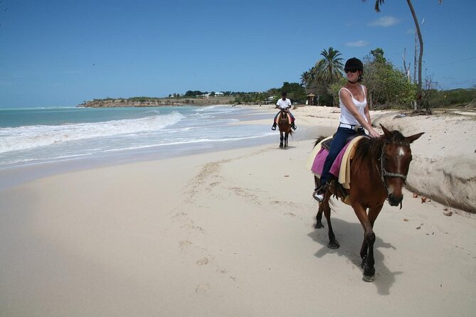 Half-Day Beach Horse Back Riding in Puerto Plata - The ride out: gravel jungle path to shoreline waves