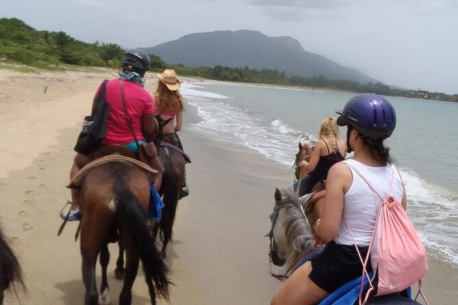 Half-Day Beach Horse Back Riding in Puerto Plata - Horses and guides: what the best rides have in common