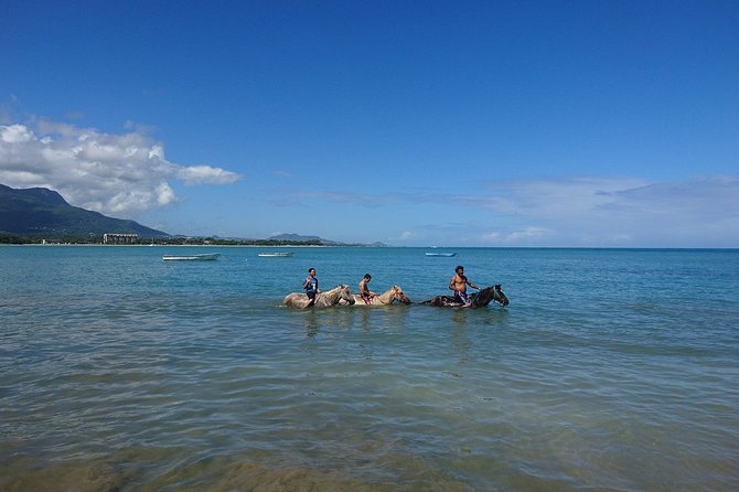 Half-Day Beach Horse Back Riding in Puerto Plata - Price and value: what $69 includes, and what you might pay extra for