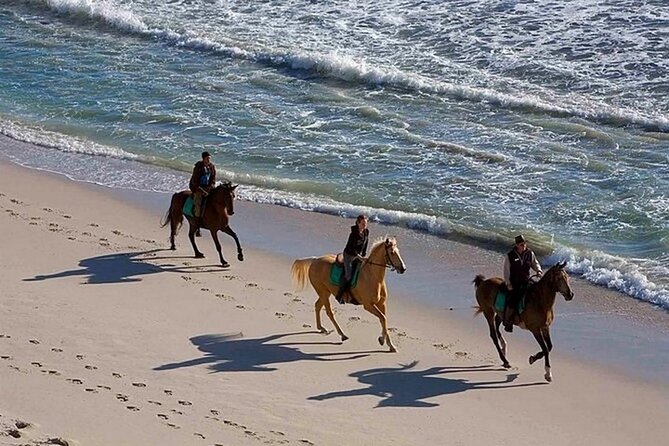 Half-Day Beach Horse Back Riding in Puerto Plata - Getting there: pickup coverage in Puerto Plata and the meeting point