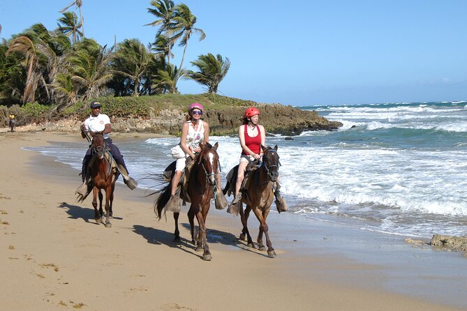 Half Day Buggies and Horseback Experience in Punta Cana - What the “half-day” really feels like at 7:30 am