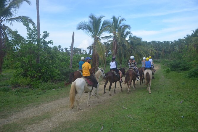 Half Day Buggies and Horseback Experience in Punta Cana - Price and value: is $99 per person fair?