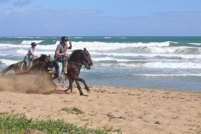 Half Day Buggies and Horseback Experience in Punta Cana - Driving your buggy through steep terrain and mud