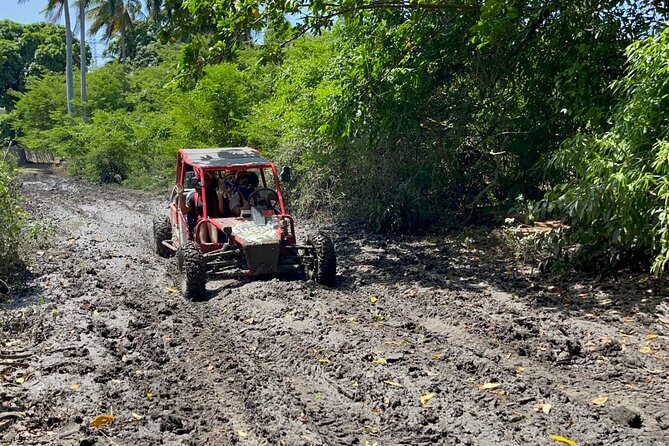 Half-Day Buggy Guided Adventure for Amber Cove and Taino Bay - Stop 3 in Maimon: Cigar Rolling, Organic Hot Chocolate, and Coffee