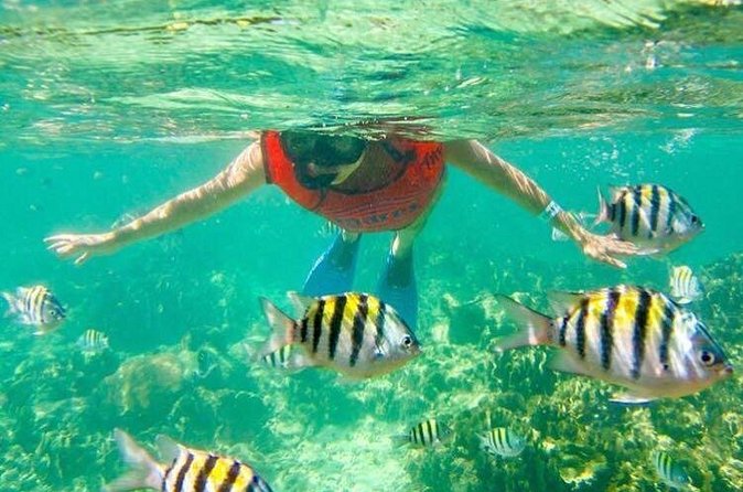 Half Day Catamaran & Snorkeling - Pickup and timing: the one practical thing to get right