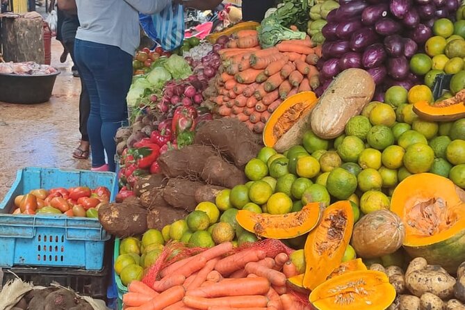 Half-day City tour cultural from punta cana for small group - Key things to know before you go