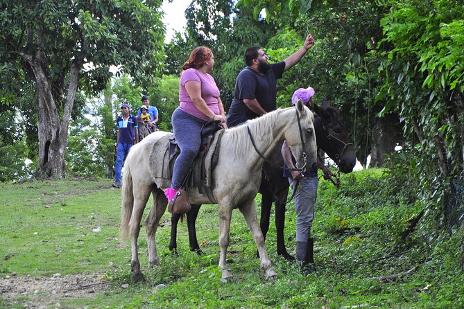 Half-Day Cultural Safari - Higüey city tour and the market pause