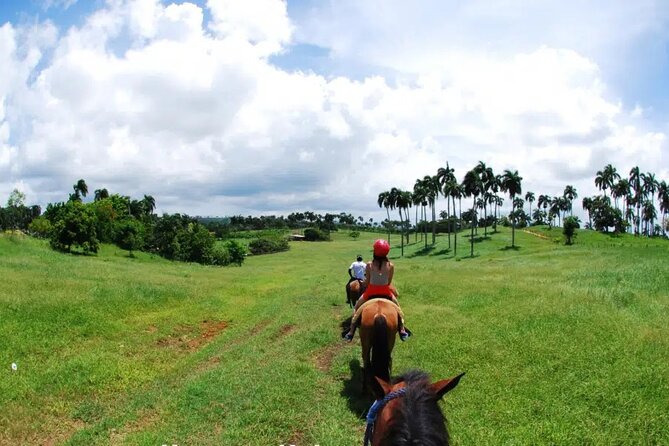 Half-Day Cultural Safari - Horses, the typical house, and why these stops can feel better than you expect