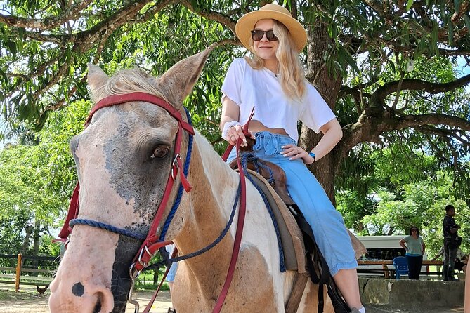 Half-day Cultural Tour in the City of Higüey - Lunch by the Anamuya River, then the road to cigars