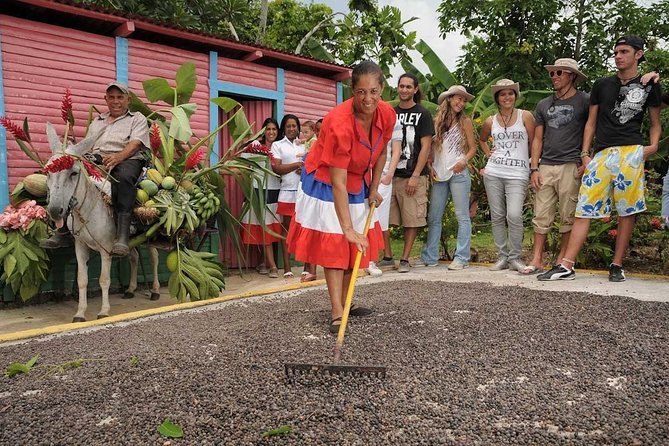 Half-Day Dominican Republic Safari Tour from Punta Cana - Rural ranch stops and local tastings: cocoa, coffee, and mamajuana