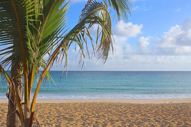 Half-Day Dominican Republic Safari Tour from Punta Cana - Macao Beach break: a calmer finish after the countryside