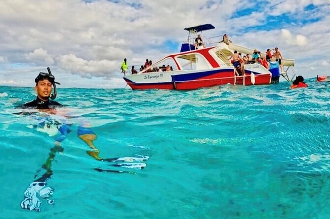 Half-Day Private Party Boat and Snorkeling in Punta Cana - Snorkeling the Cabeza de Toro Reef: What You’ll See