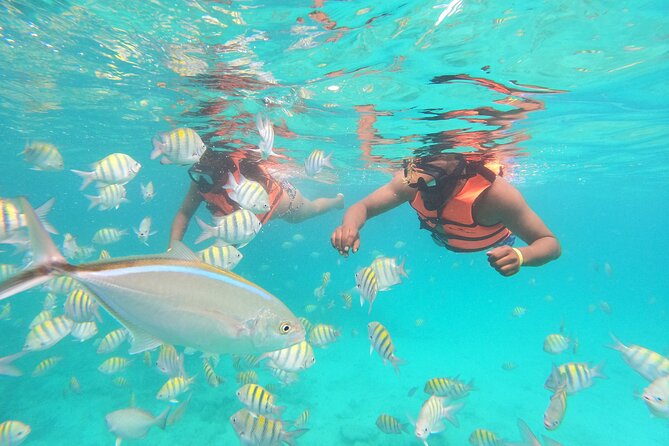 Half-Day Private Party Boat and Snorkeling in Punta Cana - Natural Pool on the Sandbar: The Best Relax-Plus-Play Stop