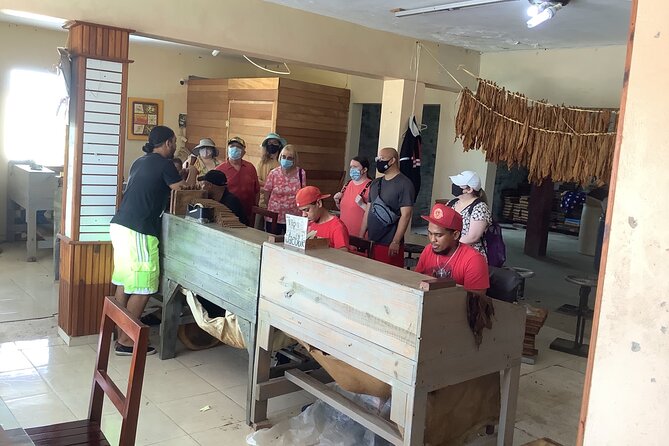 Half Day Private Tour in Dominican Republic with Local Guide - Coffee, cocoa, vanilla, and a family home stop you can actually picture