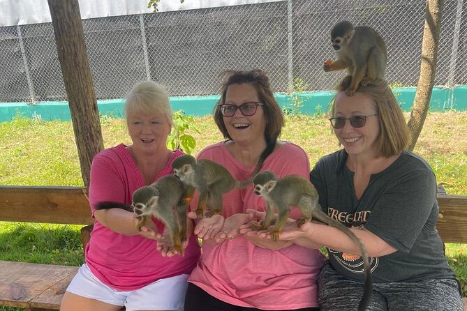 Half Day Puerto Plata City Tour and Monkey Home Visit - Monkey Home in Puerto Plata, where you feed squirrel monkeys and get the best photos