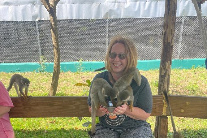 Half Day Puerto Plata City Tour and Monkey Home Visit - Price and value: why $81 feels fair for a half-day city and Monkey Home combo