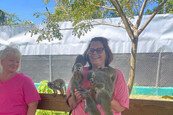 Half Day Puerto Plata City Tour and Monkey Home Visit - What to watch for: timing pressure, gift shop pitches, and extra tip requests