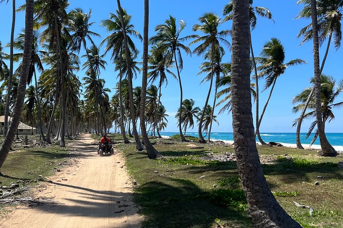 Half Day Safari and ATV or horses from Punta Cana - Key highlights worth getting excited about