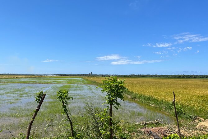 Half Day Safari and ATV or horses from Punta Cana - The ranch ride along the coast: ATV quad or horses