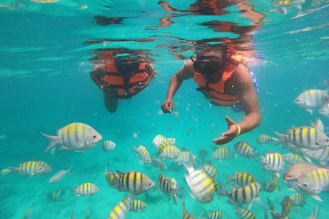 Half-Day Snorkeling Cruise and Natural Pool with Open Bar - Key Points Worth Knowing Before You Go
