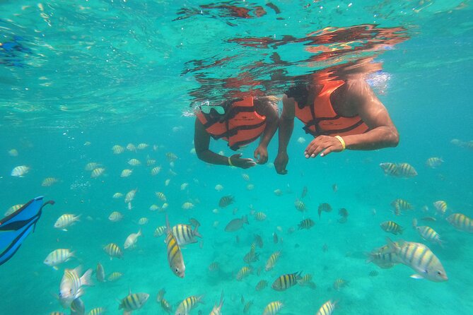 Half-Day Snorkeling Cruise and Natural Pool with Open Bar - Who This Tour Suits Best, Based on What the Day Feels Like
