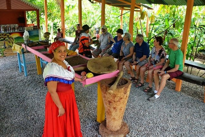 Half-Day Tour: Dominican Discovery Of a Culture - Key points before you go