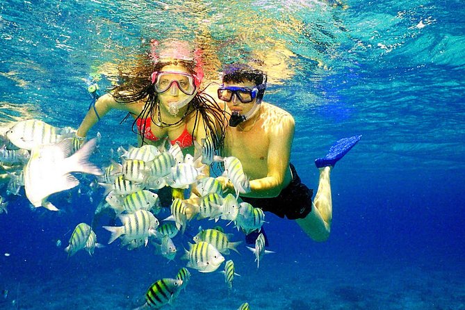 Happy Hour Party Boat With Snorkeling - The Happy Hour Boat Vibe: Adults Only, Open Bar, and a Real Crew