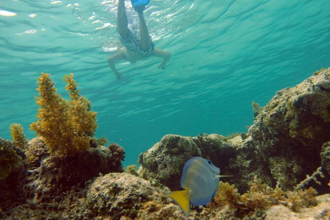Happy Hour Party Boat With Snorkeling - Who This Trip Fits Best (And Who Might Skip It)