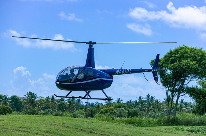 Helicopter tour of Punta Cana - Punta Cana landmarks from the air: Coco Bongo Dome and Bavaro hotels