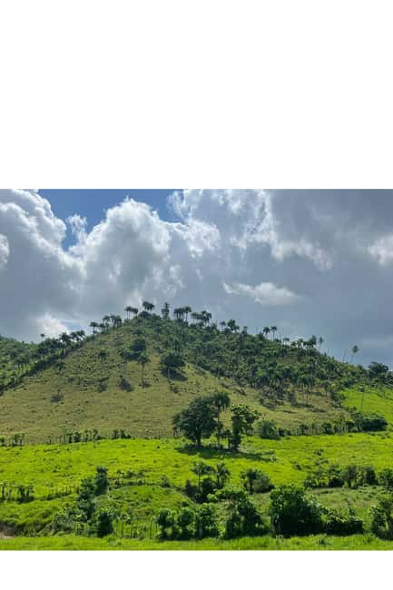 Higuey discovery, coffee and cocoa tasting from punta cana - Price and group size: does $45 feel fair?
