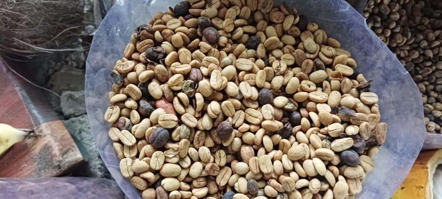 Higuey discovery, coffee and cocoa tasting from punta cana - Basilica of Higüey: photos, a small love offering, and dress rules