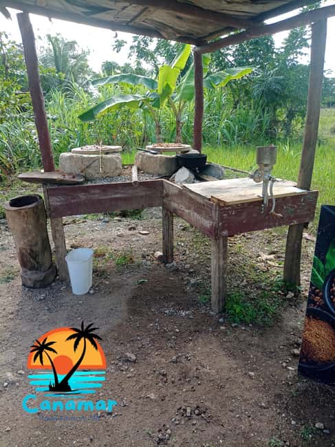 Higuey discovery, coffee and cocoa tasting from punta cana - Coffee and cacao tasting: learn how it actually becomes flavor