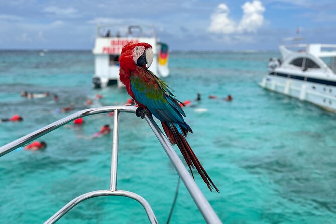 Hip Hop Party Boat with Snorkeling Punta Cana - Drinks, snacks, and the food reality check