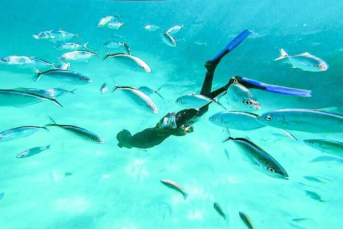Hip Hop solo para adultos PartyBoat con Bebidas ilimitadas y Bar - Bavaro-area start: what the first stop really feels like