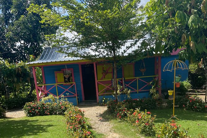 Horse Back Riding Adventure in Punta Cana - The beach ride toward Macao Beach: where the best moments happen